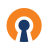 OpenVPN